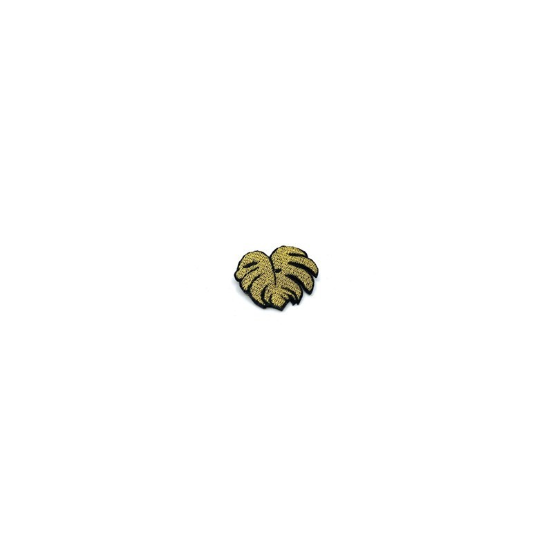 Feuille de monstera