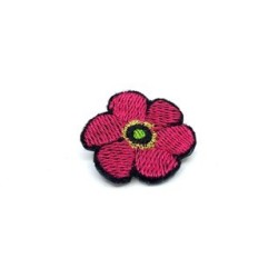 Petite fleur