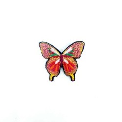 Papillon XXL