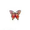 Papillon XXL