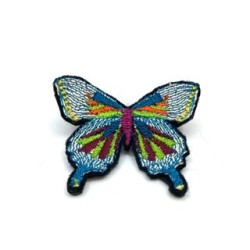 Papillon XXL