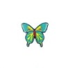 Papillon XXL