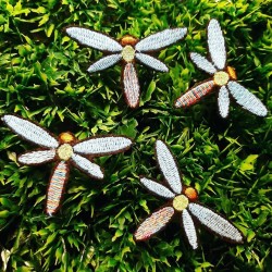 Libellule