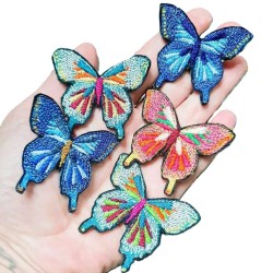 Papillon complexe