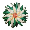 Rose de noël