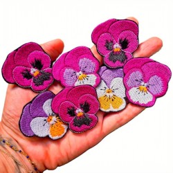 Pensée fuchsia et lilas