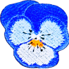 Pensée bleue
