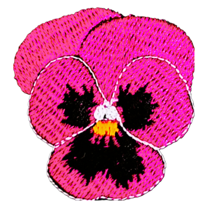Pensée fuchsia et lilas