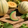 Quartier de melon